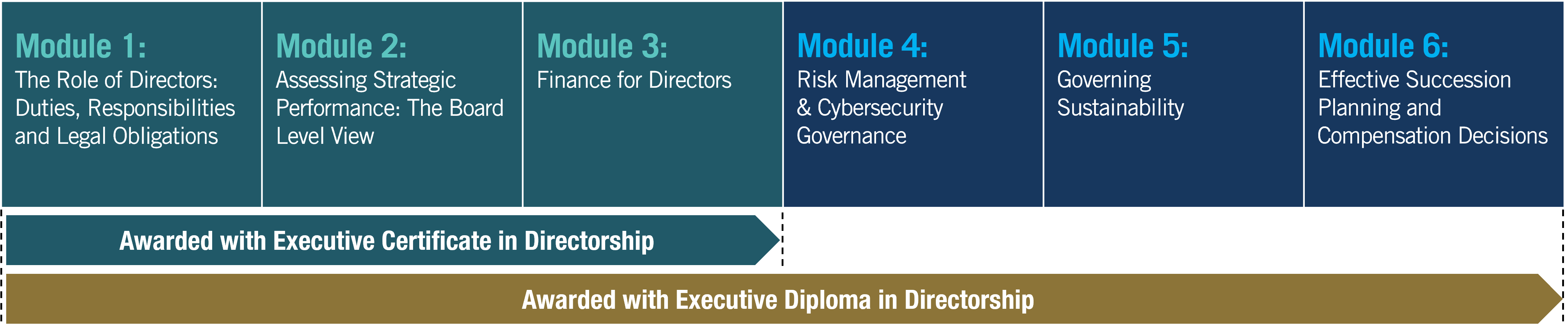 Executive Certificate in Directorship