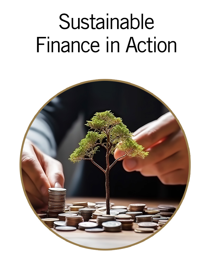 Sustainable finance in action