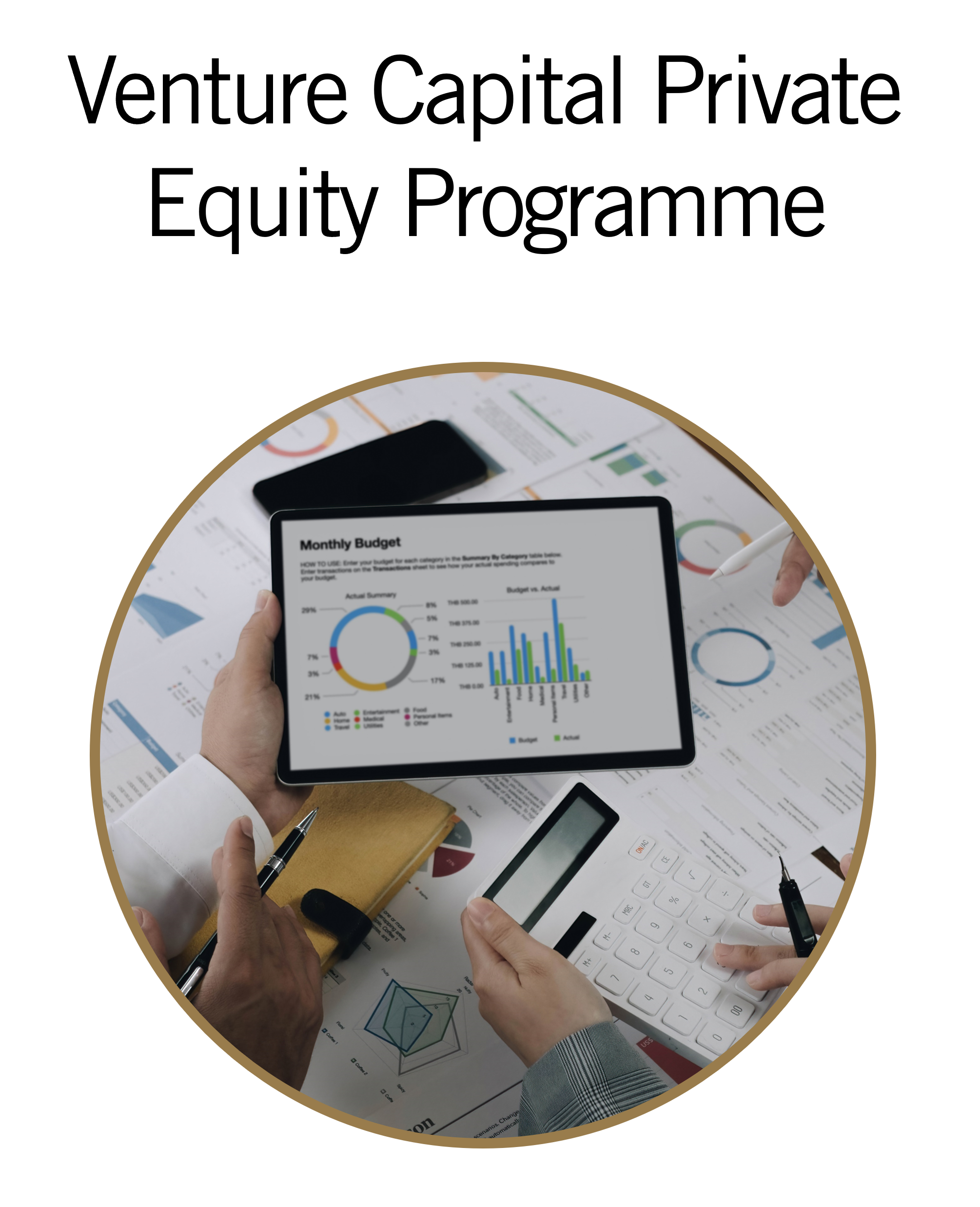 Venture Capital Private Equity Programme