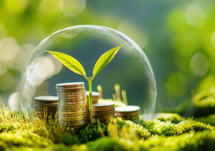 Unlocking Green Finance in Southeast Asia 