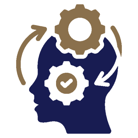 Interpret and synthesise complexity