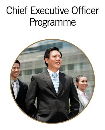 Chief Executive Officer Programme