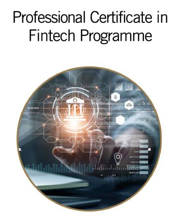 Professional Certificate in Fintech Programme