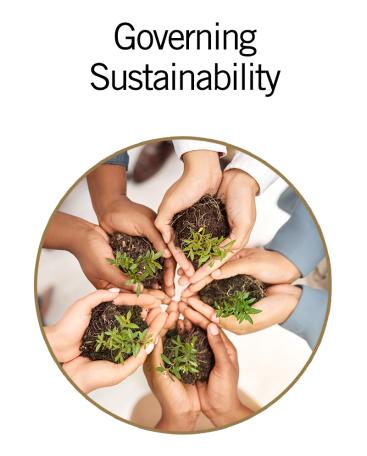 Governing Sustainability